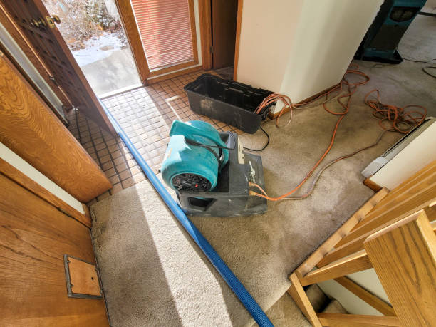 Best Ceiling water damage repair  in Opelousas, LA
