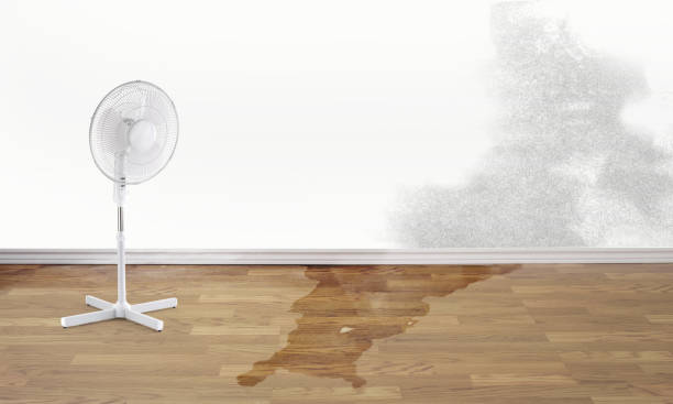 Best Fire Damage Restoration  in Opelousas, LA
