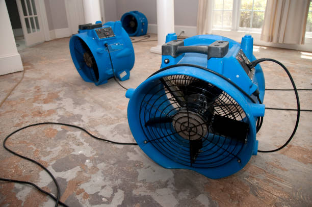 Best Local water damage restoration  in Opelousas, LA