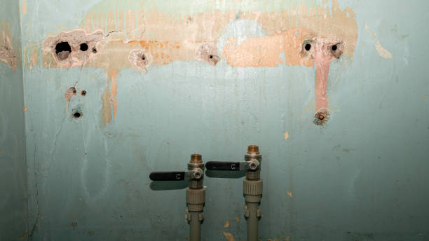 Best 24/7 water damage repair  in Opelousas, LA