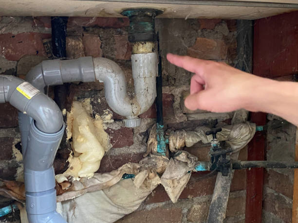 Best Water damage contractors near me  in Opelousas, LA
